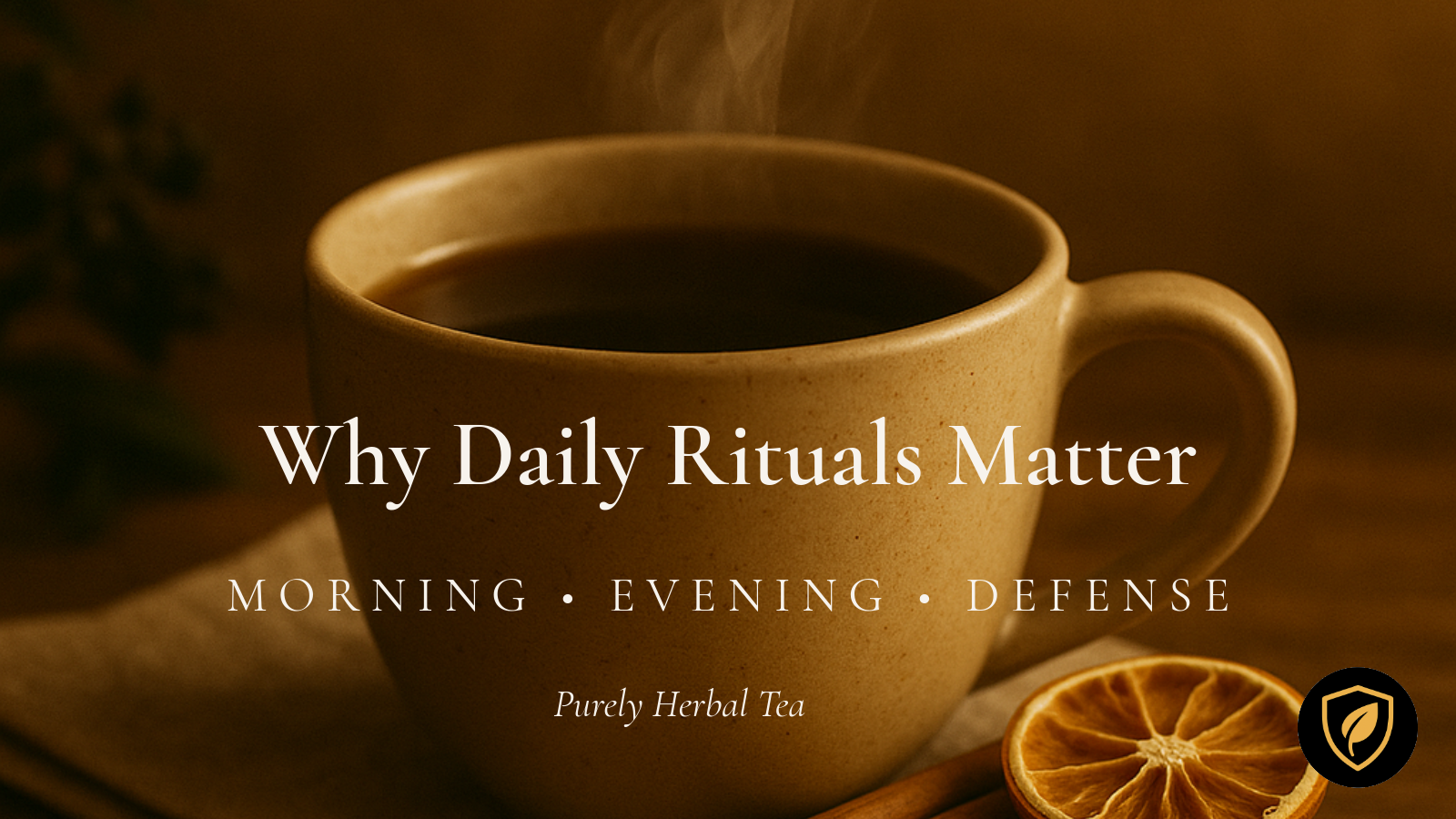 Why Daily Rituals Matter: Morning, Evening, and Defense in Your Wellness Routine