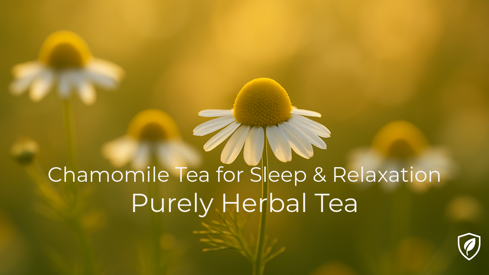Chamomile Tea Benefits for Sleep and Relaxation