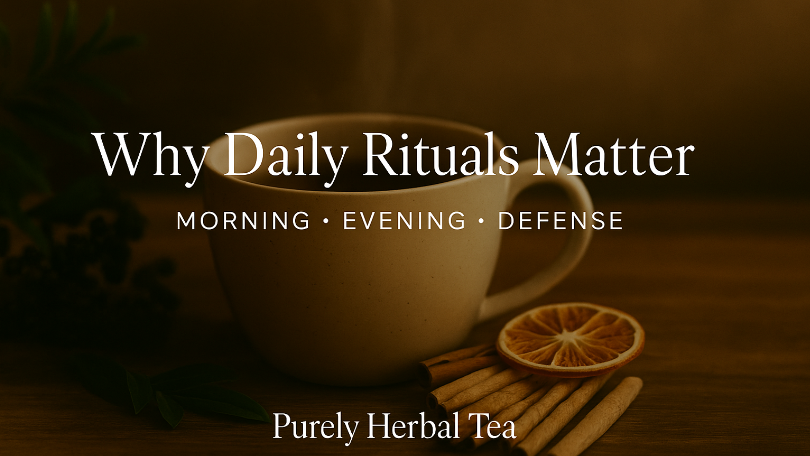 Why Daily Rituals Matter: Morning, Evening, and Defense in Your Wellness Routine