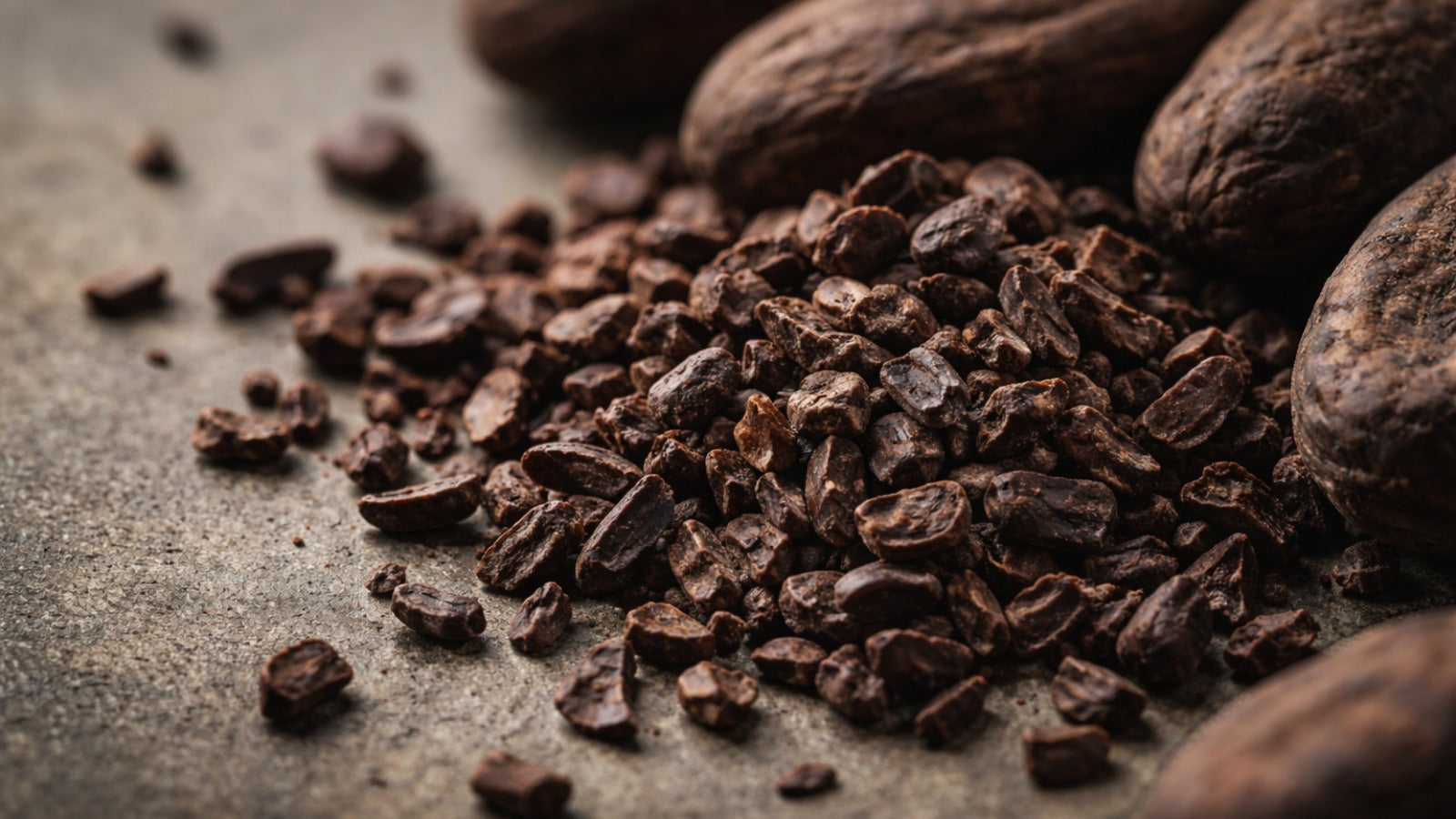 Cacao Herbal Tea: Warm Depth for an Afternoon Reset
