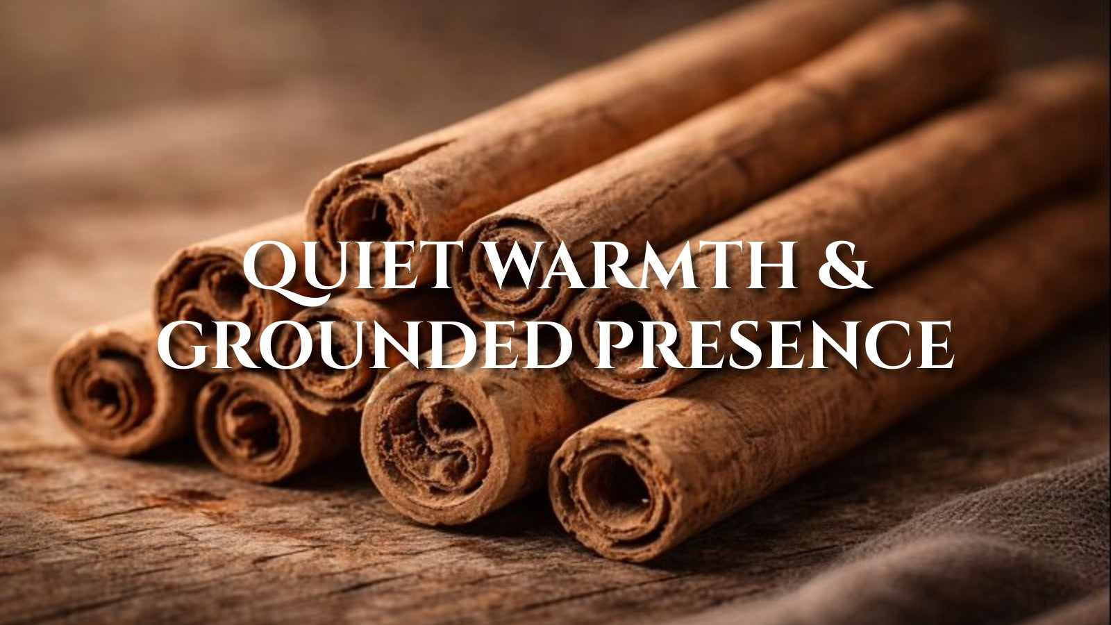 Ceylon Cinnamon in Defense Rituals: Quiet Warmth and Grounded Presence