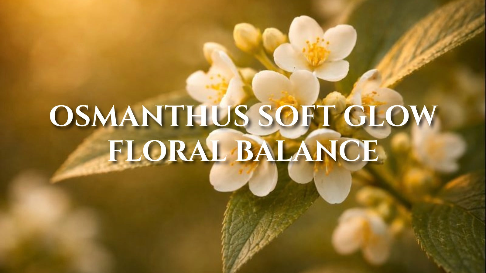 Osmanthus in Defense Rituals: Soft Glow and Bright Floral Harmony